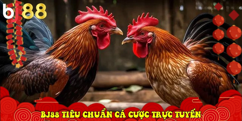 BJ88 ⭐️ Link Vào BJ88.Com Đá Gà Thomo, Casino Uy Tín 2026 4 BJ88 xác lập tiêu chuẩn cá cược trực tuyến