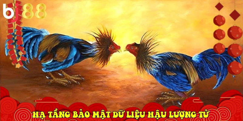 BJ88 ⭐️ Link Vào BJ88.Com Đá Gà Thomo, Casino Uy Tín 2026 7 hạ tầng bảo mật dữ liệu hậu lượng tử